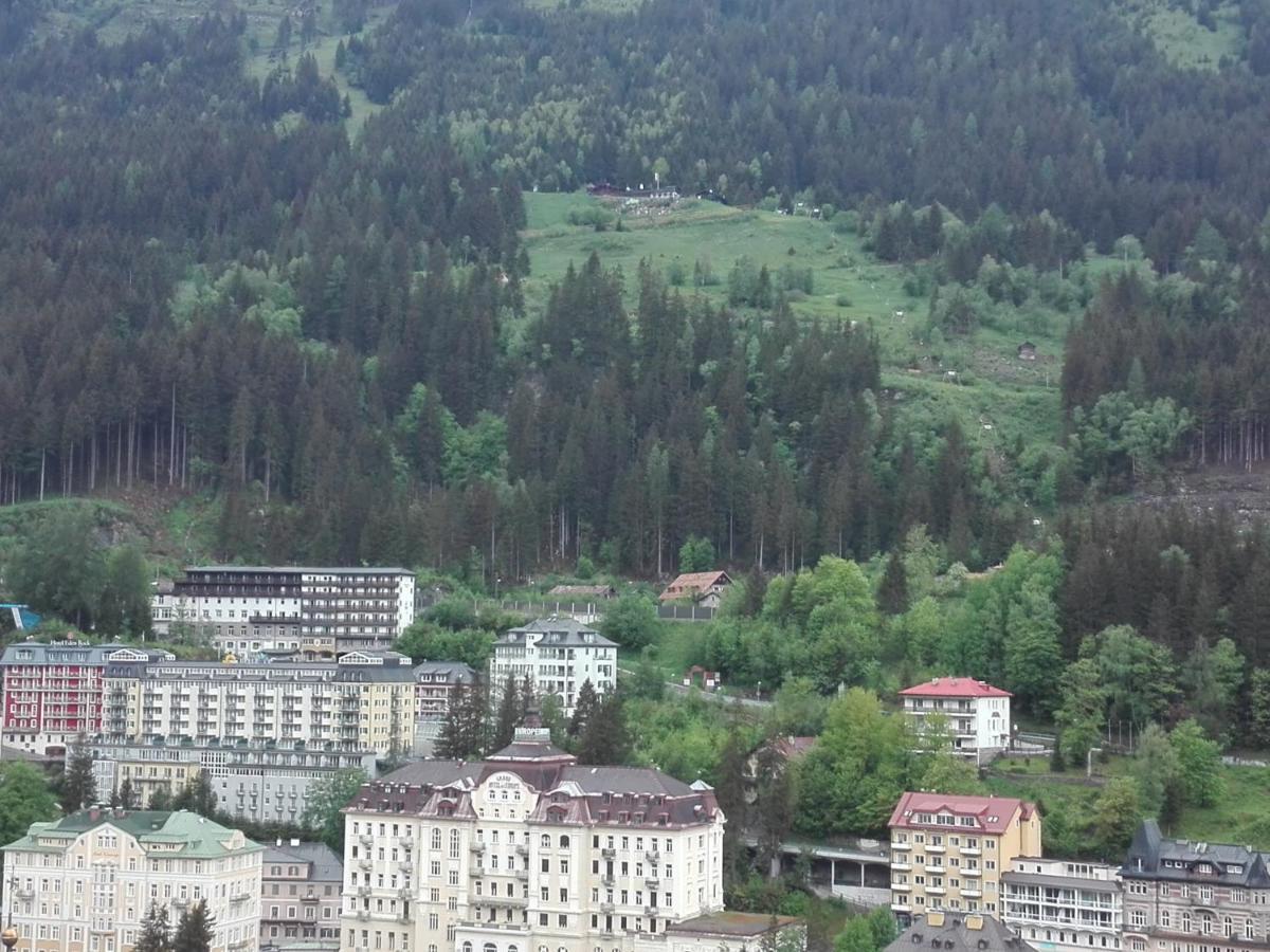 Apartment "Das Schillers Spa" Bad Gastein Ngoại thất bức ảnh