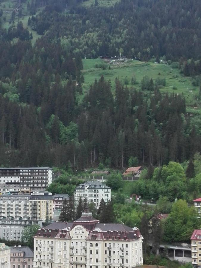 Apartment "Das Schillers Spa" Bad Gastein Ngoại thất bức ảnh